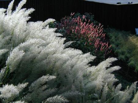gallery_6954_1286_23059.jpg