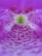 tn_gallery_12619_1272_6586.jpg