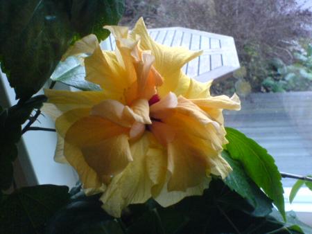 gallery_12729_1302_36098.jpg