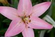 tn_gallery_3006_1311_117699.jpg