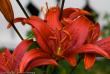 tn_gallery_3006_1311_164118.jpg