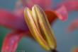 tn_gallery_3006_1311_36246.jpg