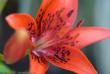 tn_gallery_3006_1311_41269.jpg