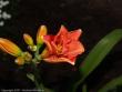 tn_gallery_3006_1311_44738.jpg