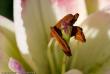 tn_gallery_3006_1311_55330.jpg
