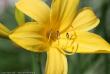 tn_gallery_3006_1311_57371.jpg