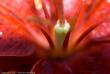 tn_gallery_3006_1311_78262.jpg