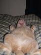 tn_gallery_8782_1305_10578.jpg