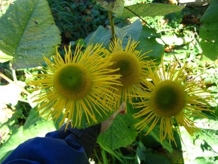gallery_5846_1313_231991.jpg