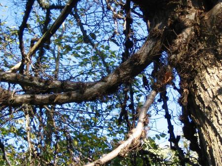 gallery_5846_1313_56960.jpg