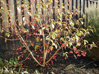 gallery_6954_1286_31537.jpg
