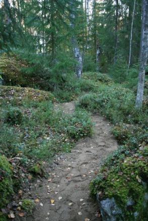 gallery_12739_1196_76313.jpg