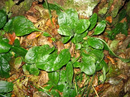 gallery_5846_1313_188055.jpg