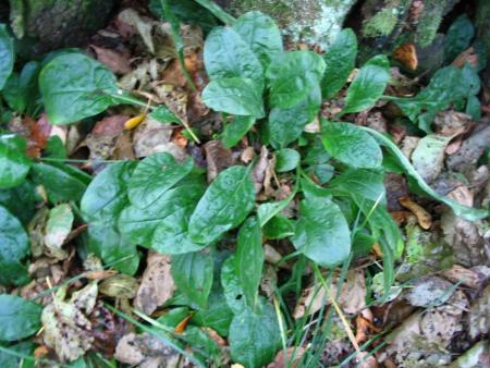 gallery_5846_1313_29843.jpg