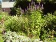 tn_gallery_579_35_31004.jpg