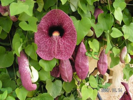 gallery_1786_950_165439.jpg