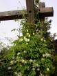 tn_gallery_276_1322_10420.jpg