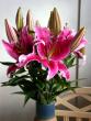 tn_gallery_276_1323_61474.jpg
