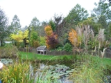 gallery_7131_1227_26919.jpg