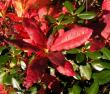 tn_gallery_387_1193_30489.jpg