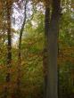 tn_gallery_5307_609_81388.jpg