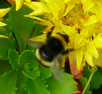 gallery_1224_1350_14908.jpg
