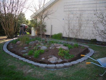 gallery_1224_1353_35215.jpg