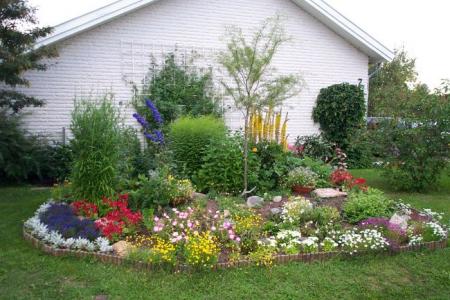 gallery_1224_1355_27339.jpg