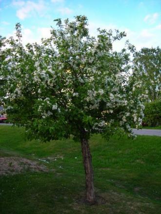 gallery_1224_1355_42042.jpg