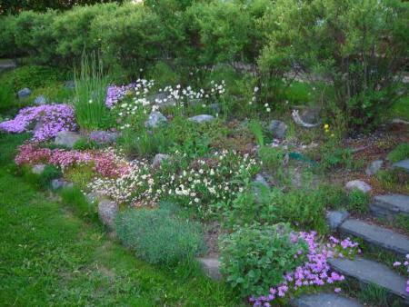 gallery_1224_1355_64075.jpg