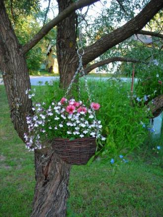 gallery_1224_1355_65308.jpg