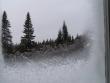 tn_gallery_1224_1352_20498.jpg