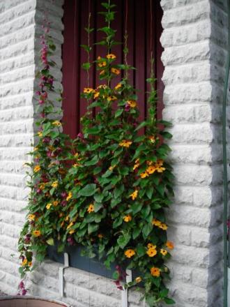 gallery_1224_1355_17597.jpg