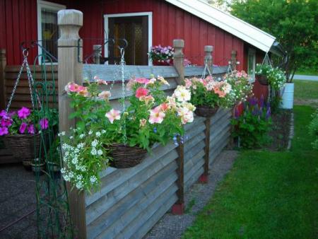 gallery_1224_1355_30236.jpg