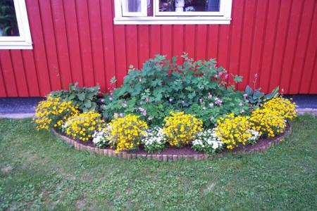 gallery_1224_1355_55099.jpg