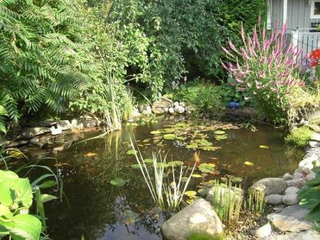 gallery_12962_1362_110493.jpg