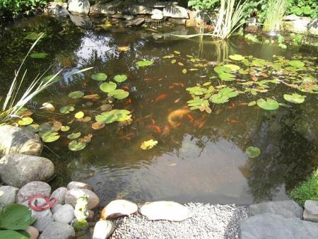 gallery_12962_1362_27591.jpg