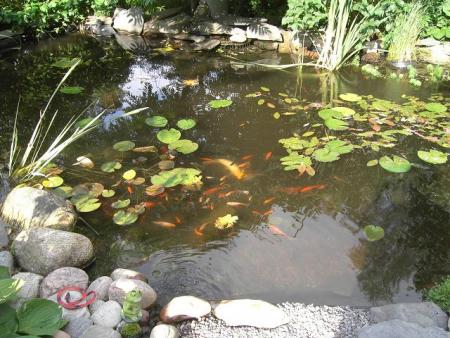 gallery_12962_1362_39535.jpg