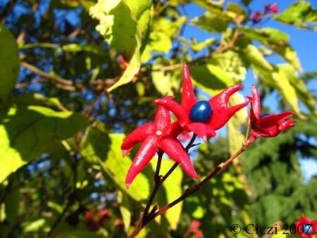 gallery_4113_1360_34416.jpg