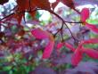 tn_gallery_7131_1296_89488.jpg