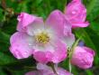 tn_gallery_11698_1367_61948.jpg