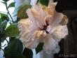 tn_gallery_4113_189_14643.jpg