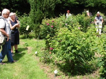 gallery_12789_1237_58024.jpg