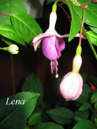 gallery_12869_1283_15940.jpg