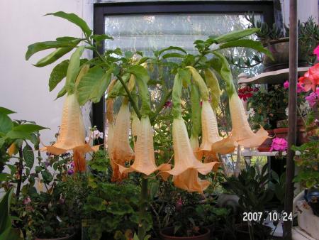 gallery_1786_950_23067.jpg