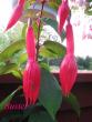 tn_gallery_12869_1283_18989.jpg