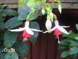 tn_gallery_12869_1283_33533.jpg
