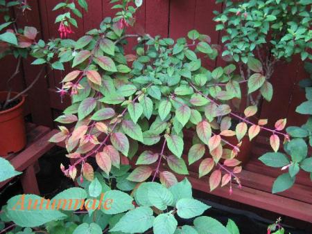 gallery_12869_1283_12529.jpg