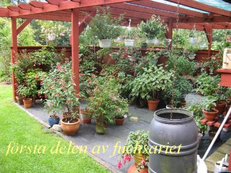 gallery_12869_1283_94470.jpg