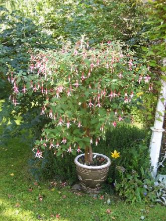 gallery_12869_1283_101574.jpg